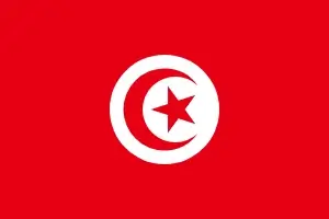 cheap parcel delivery to tunisia