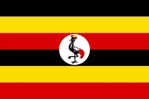 cheap parcel delivery to Uganda